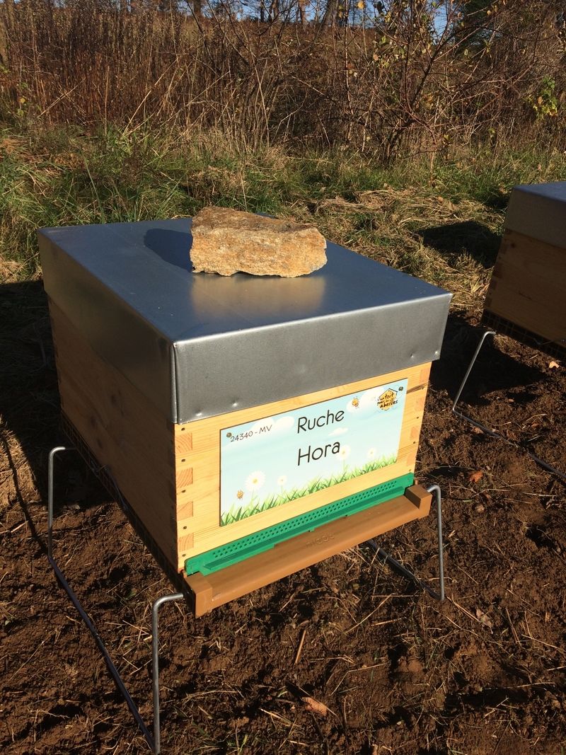 La ruche Hora