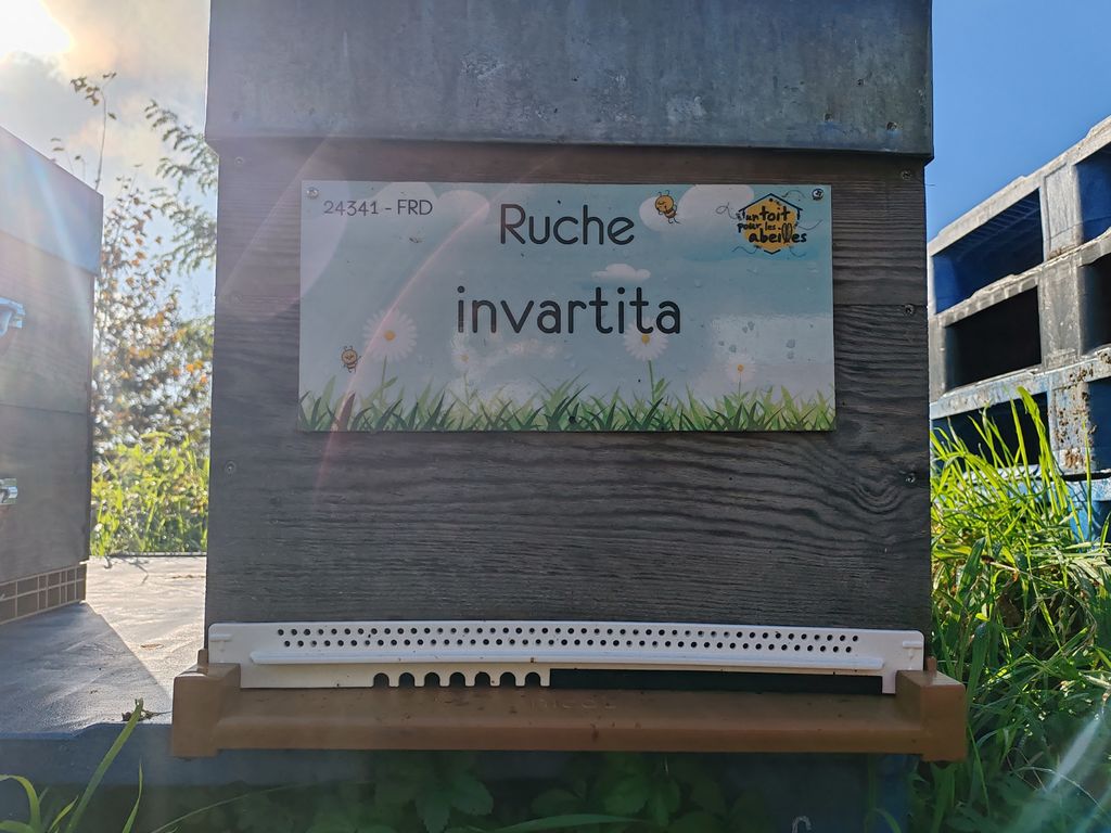 La ruche invartita