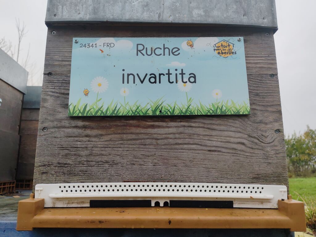 La ruche invartita