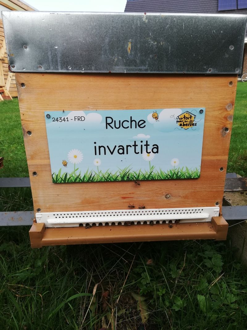 La ruche