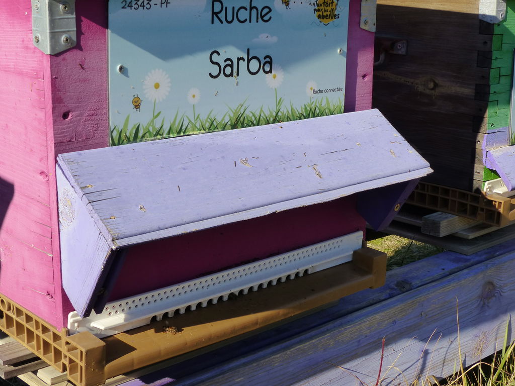 La ruche Sarba