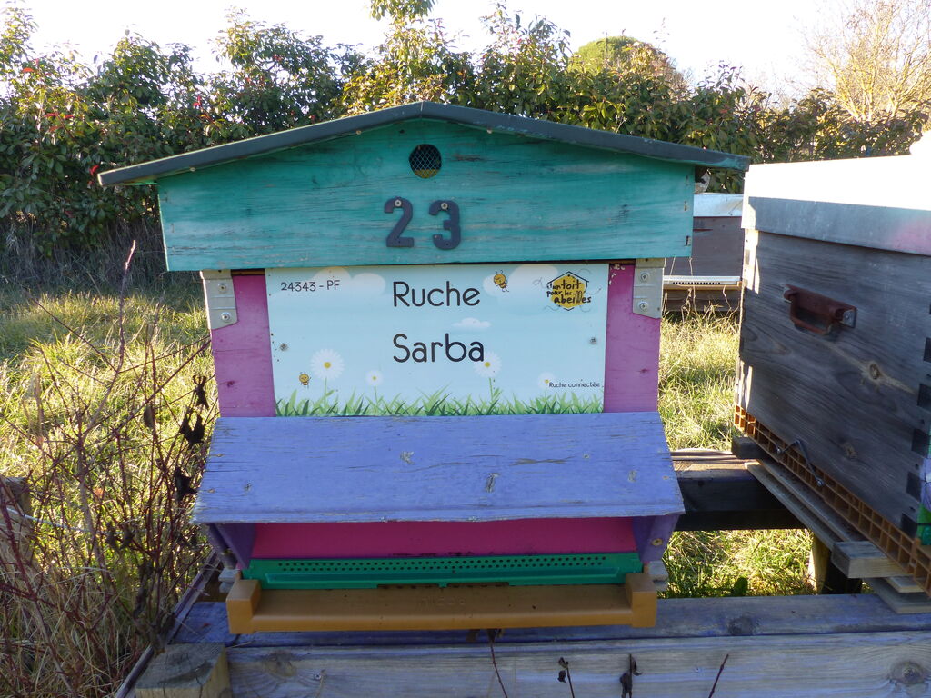 La ruche Sarba