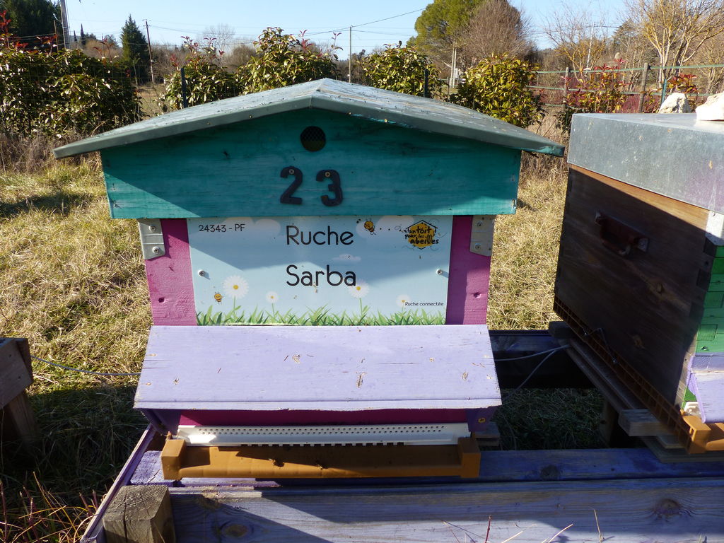 La ruche Sarba