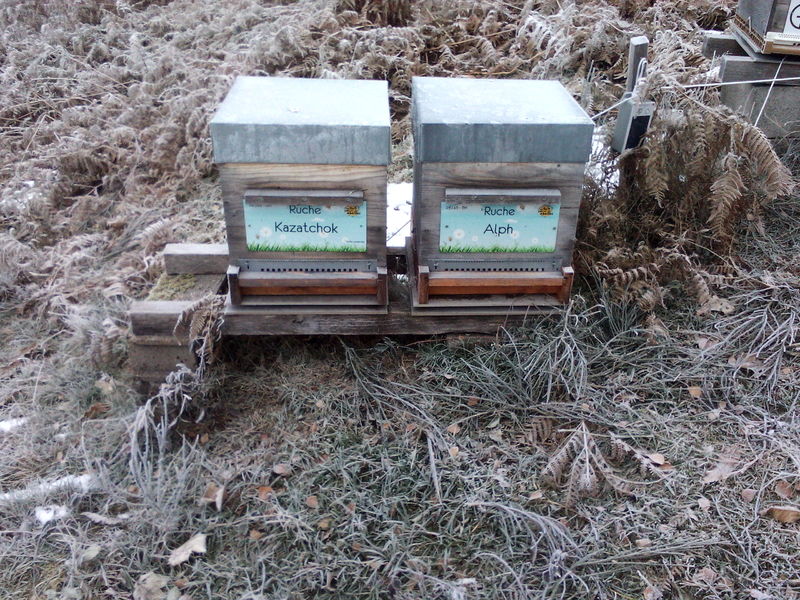 La ruche Kazatchok