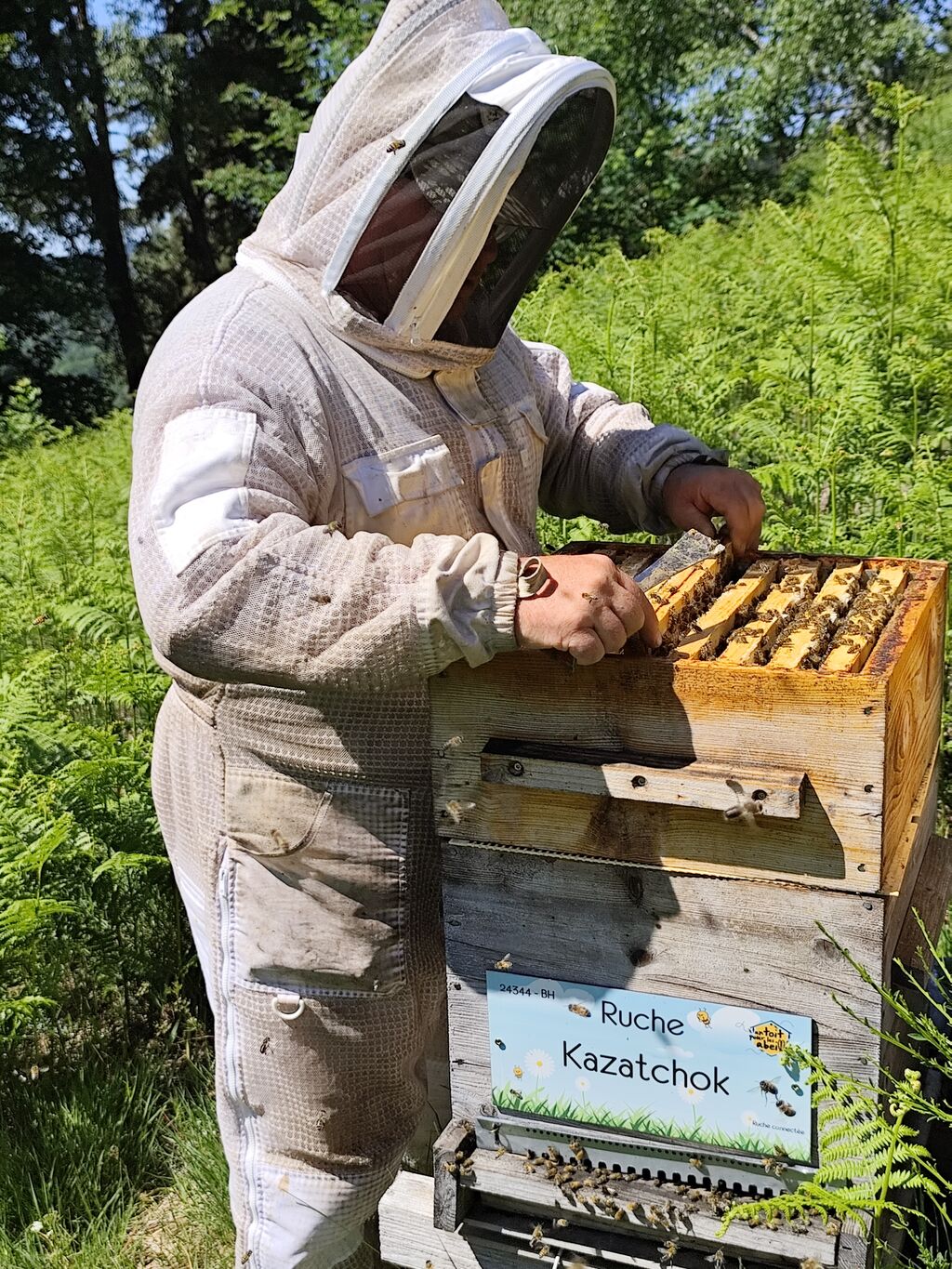 La ruche Kazatchok