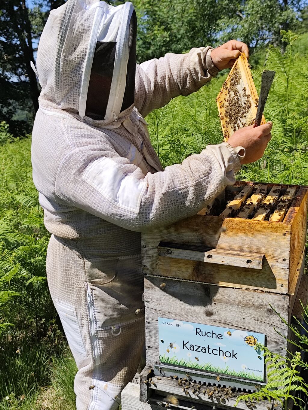 La ruche Kazatchok