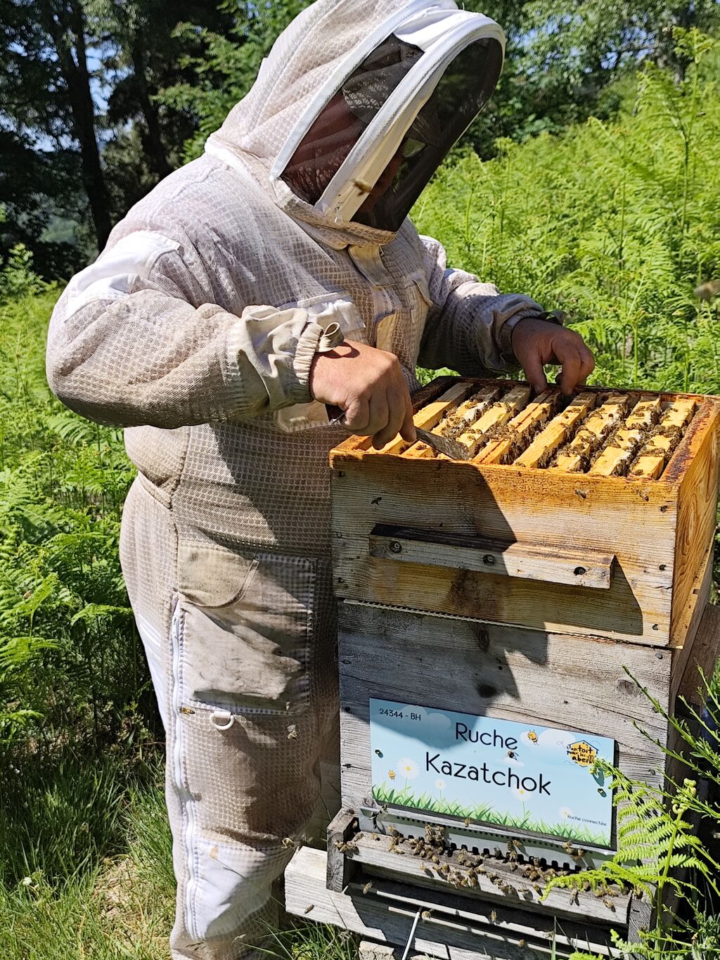 La ruche Kazatchok