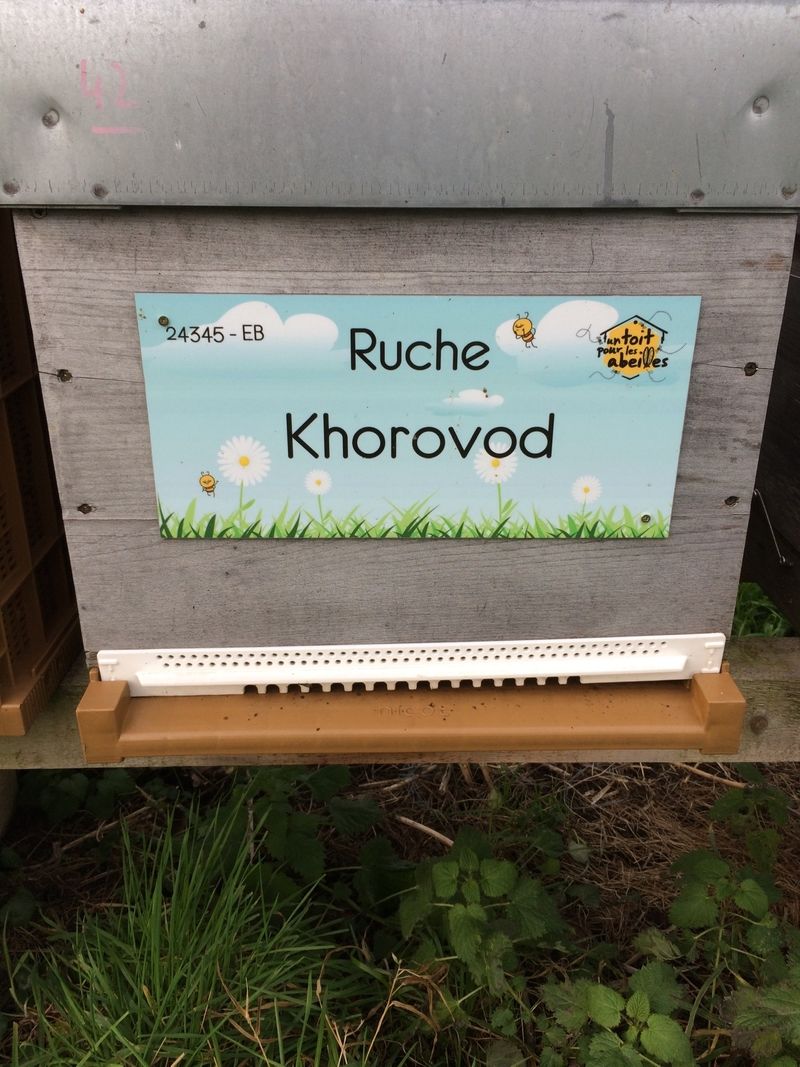 La ruche Khorovod
