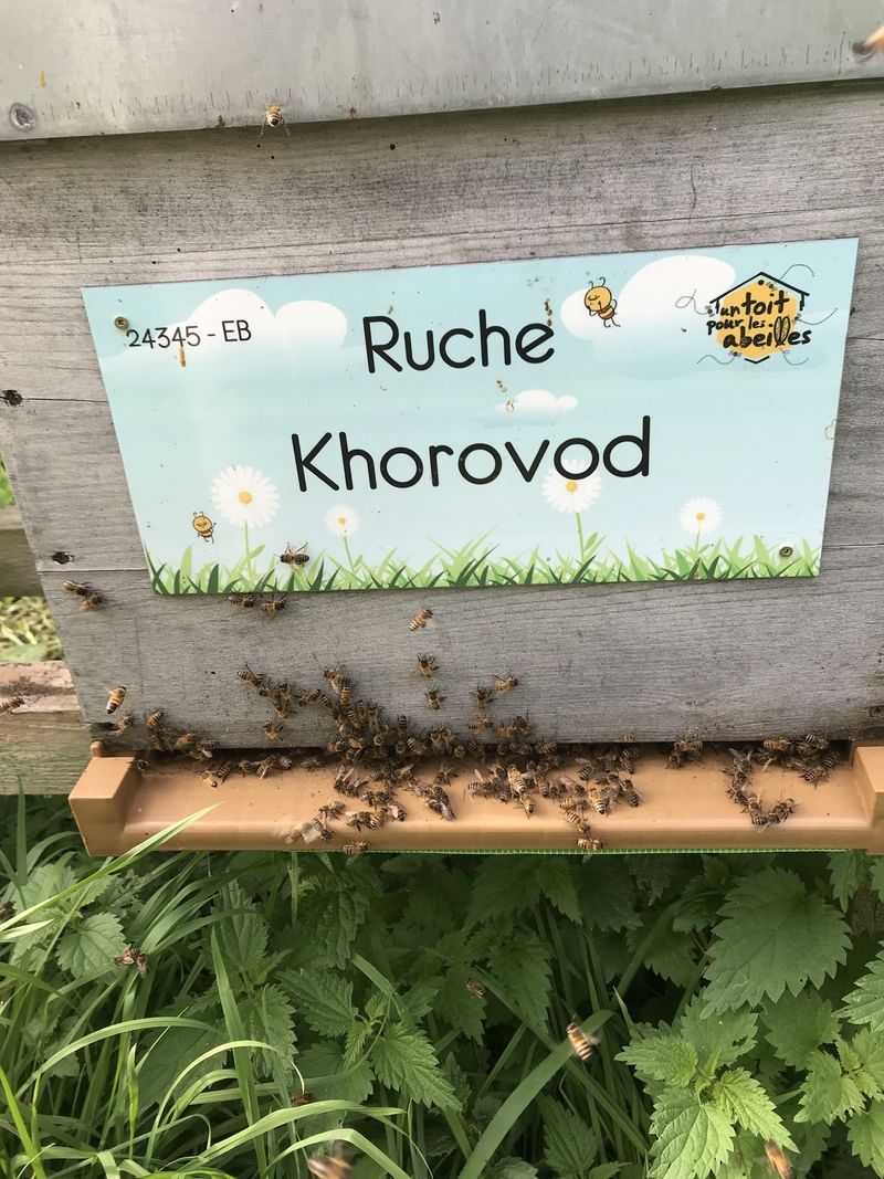 La ruche Khorovod