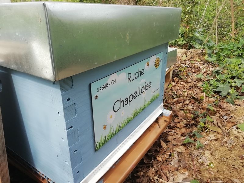 La ruche Chapelloise