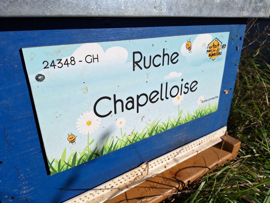 La ruche Chapelloise