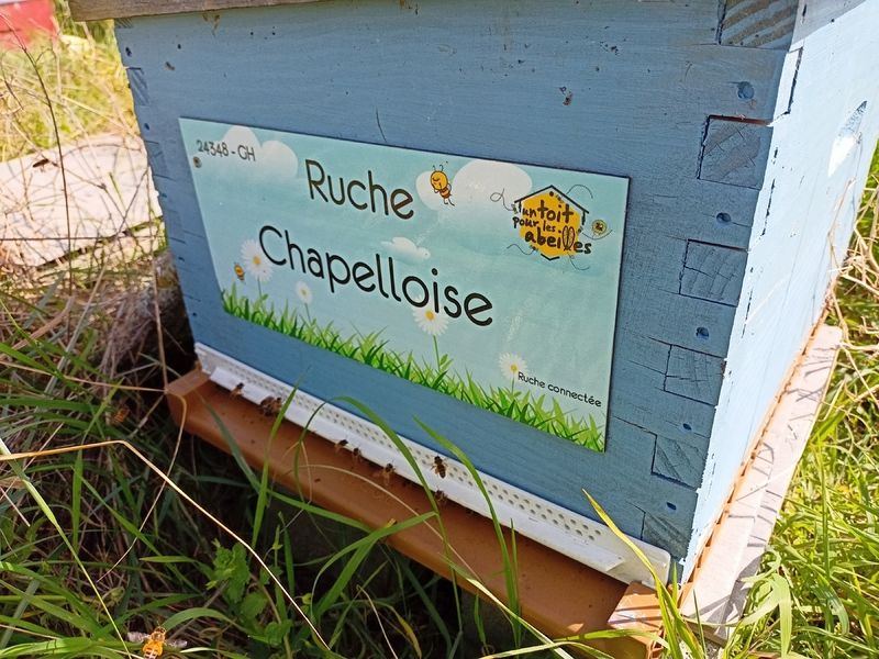 La ruche Chapelloise