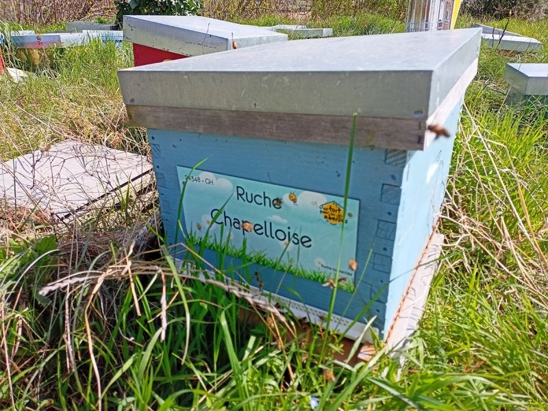 La ruche Chapelloise