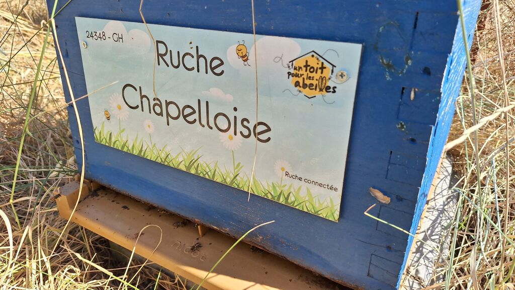La ruche Chapelloise