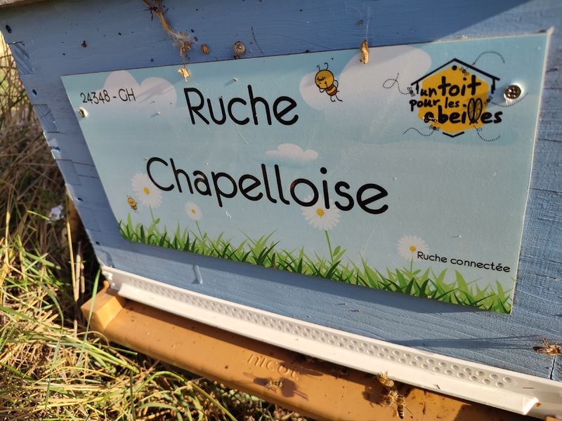 La ruche Chapelloise