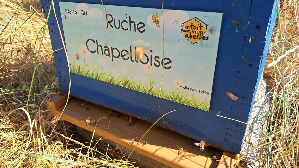 La ruche Chapelloise