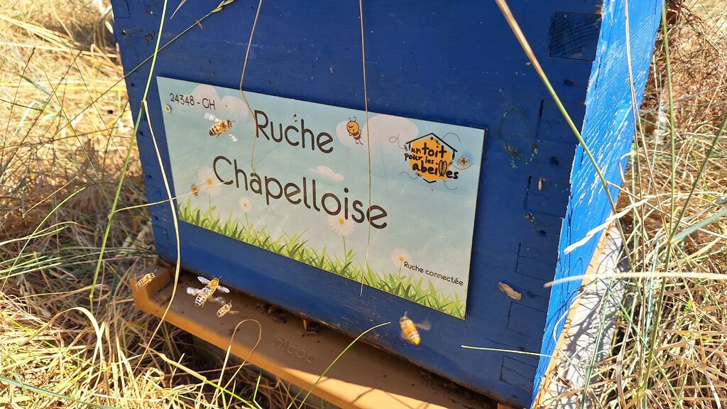 La ruche Chapelloise