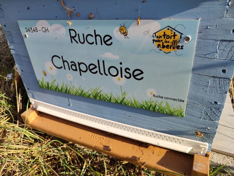 La ruche Chapelloise