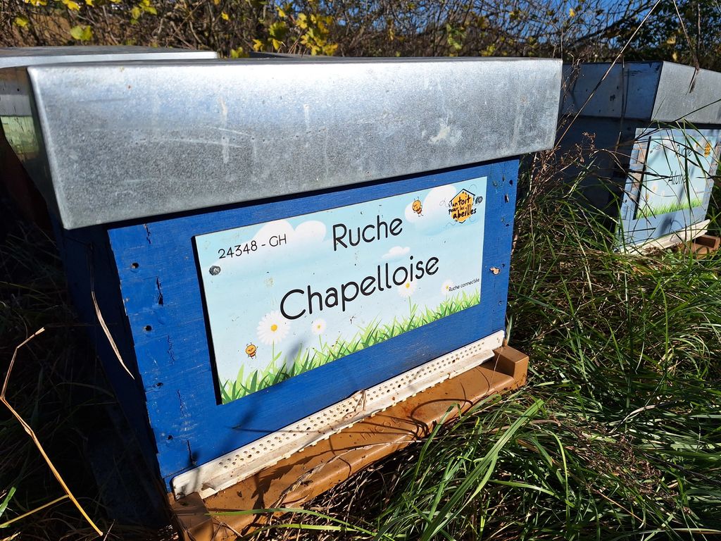 La ruche Chapelloise