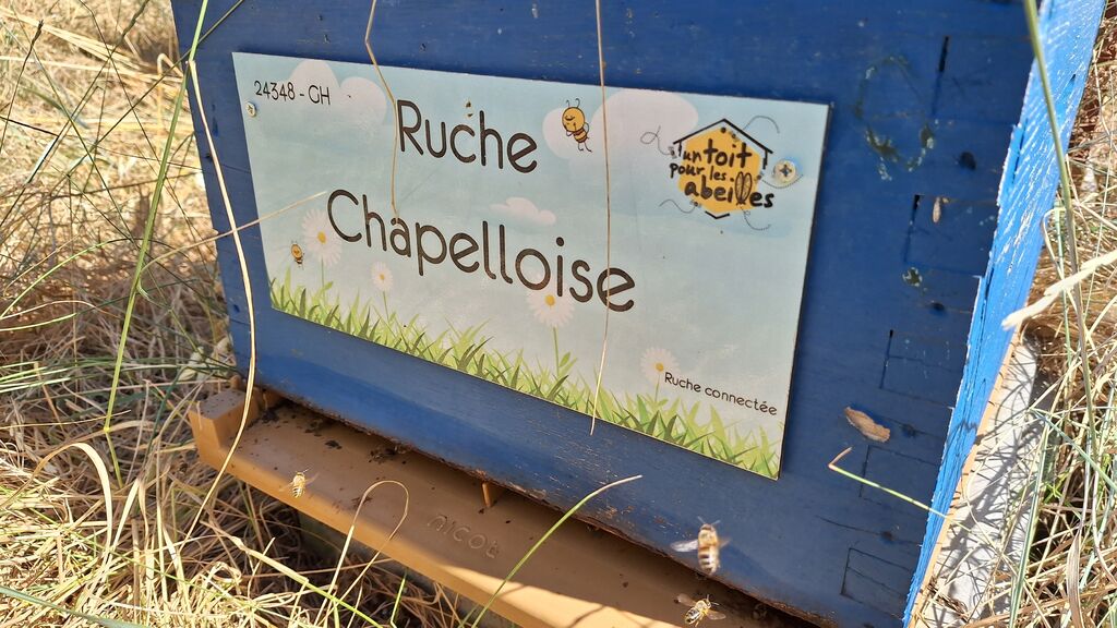 La ruche Chapelloise