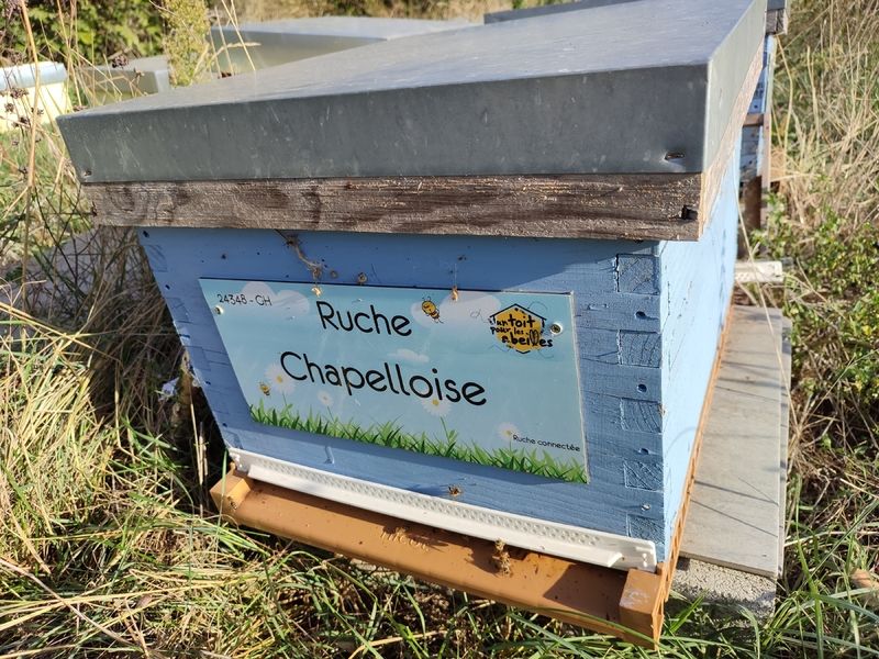 La ruche Chapelloise