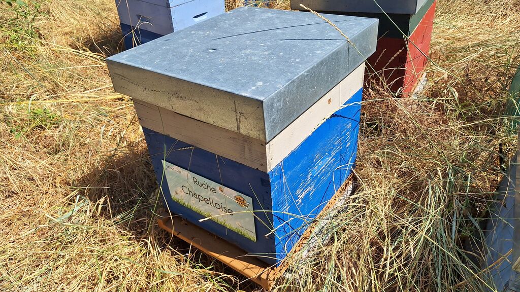 La ruche Chapelloise