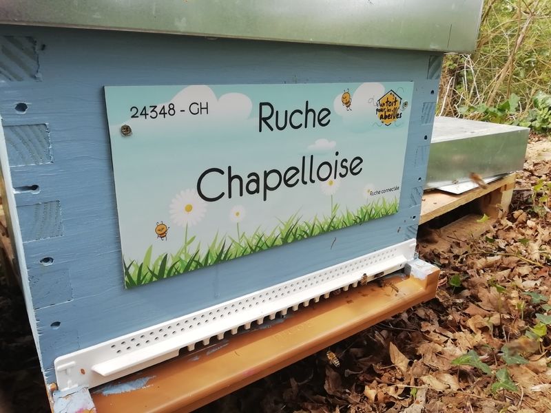 La ruche
