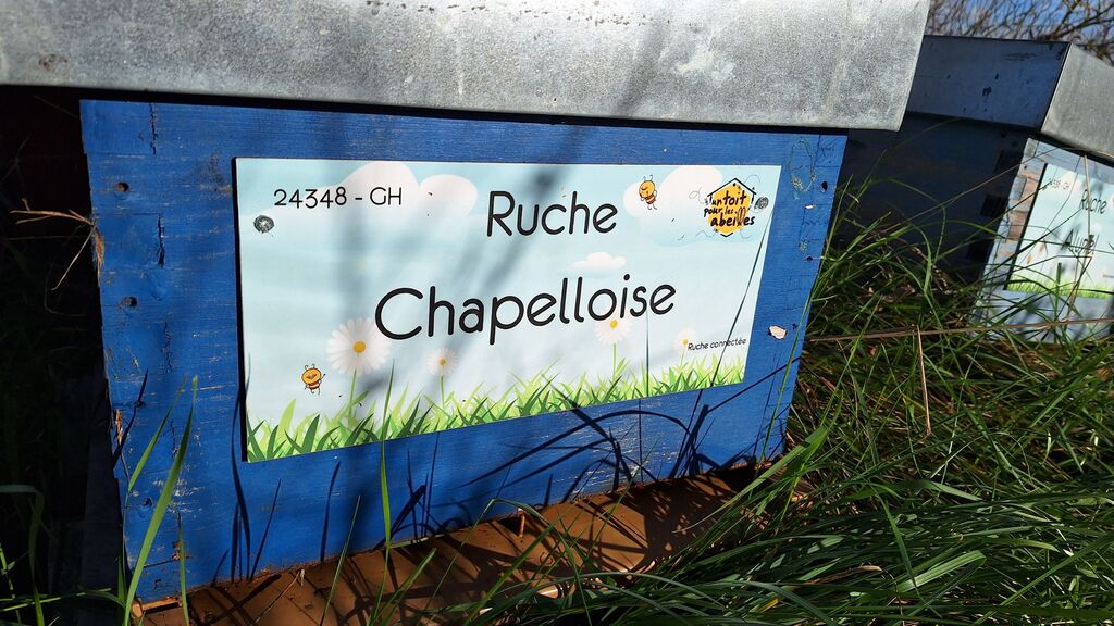 La ruche Chapelloise 
