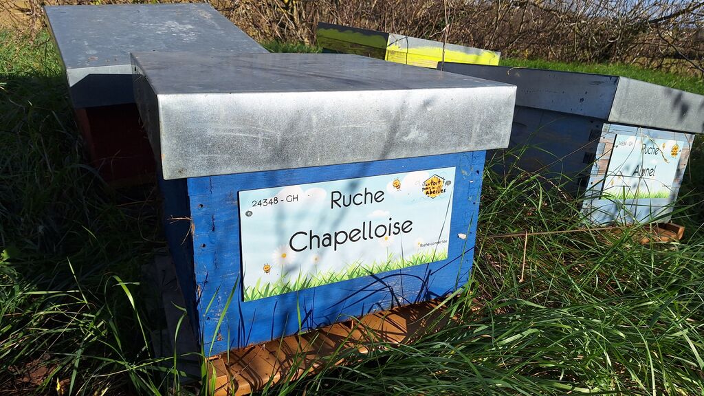 La ruche Chapelloise 