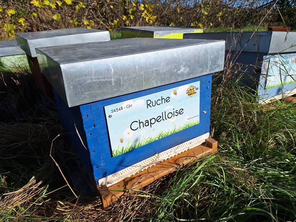 La ruche Chapelloise