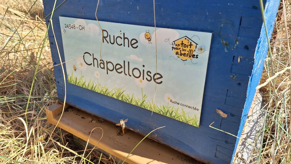 La ruche Chapelloise