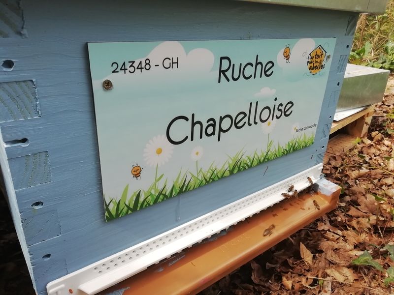 La ruche Chapelloise
