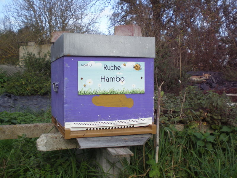 La ruche