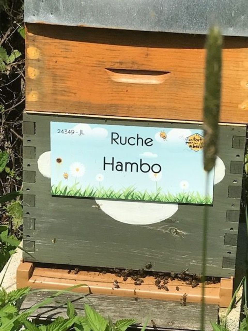 La ruche Hambo