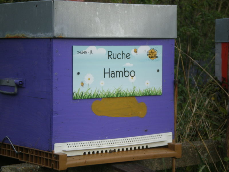 La ruche Hambo