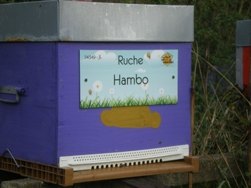 La ruche