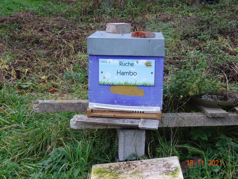 La ruche Hambo