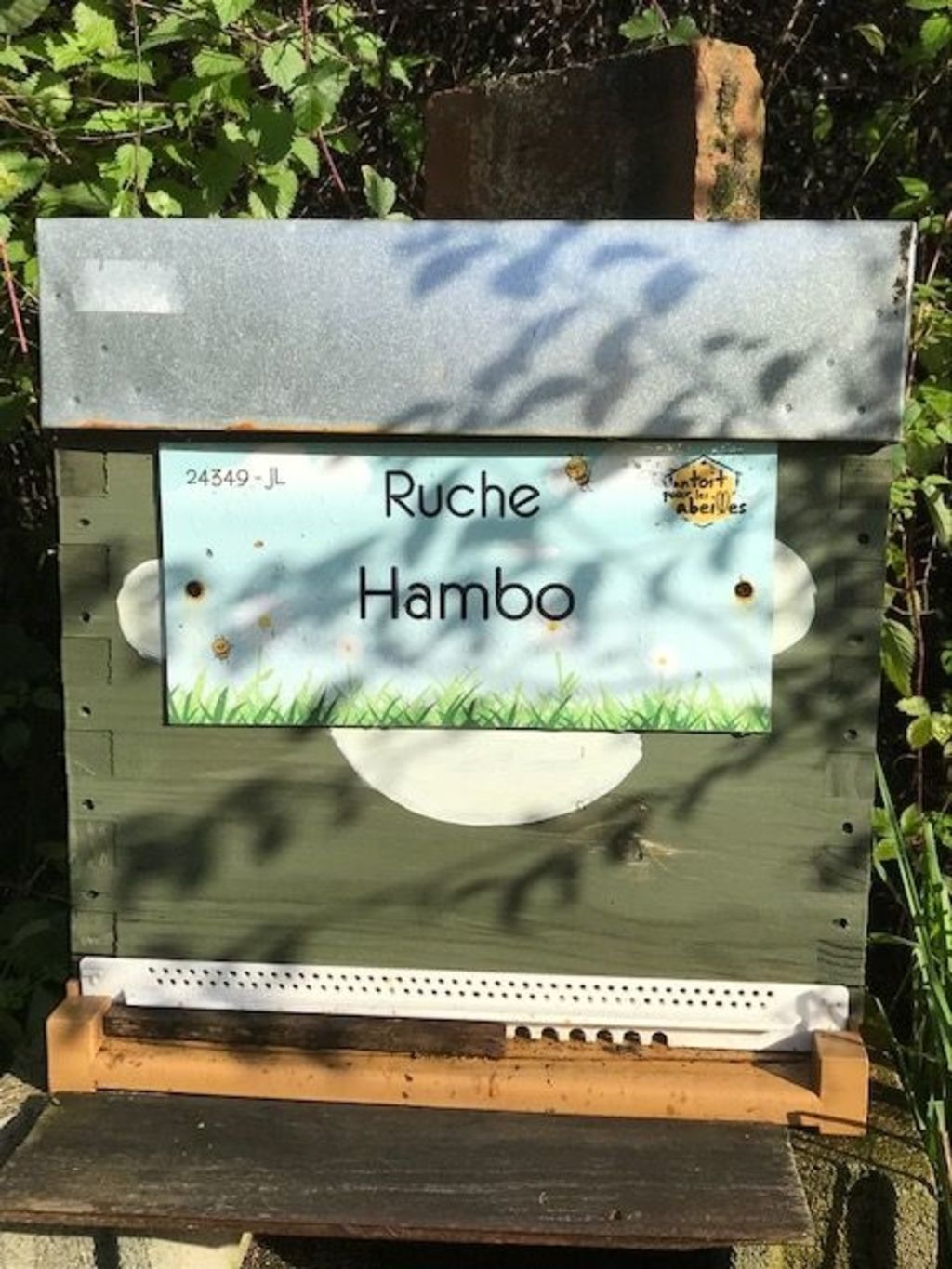 La ruche Hambo