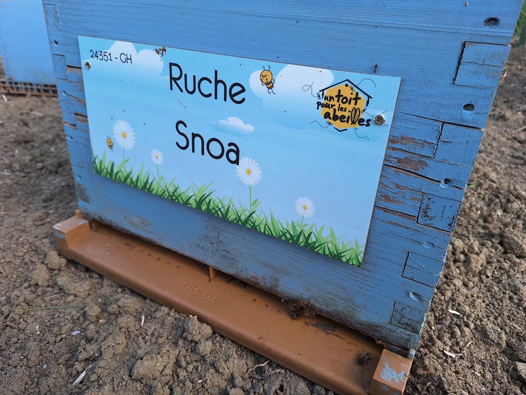 La ruche Snoa