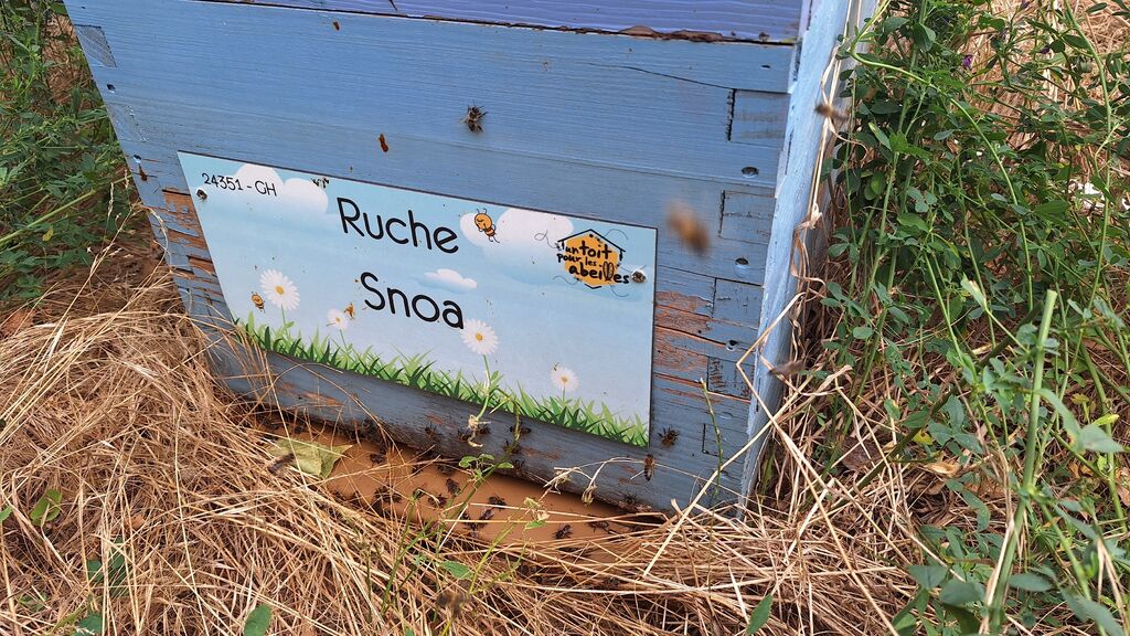 La ruche Snoa
