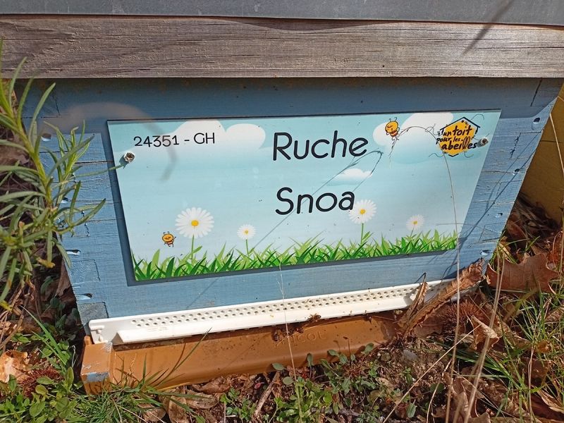 La ruche Snoa