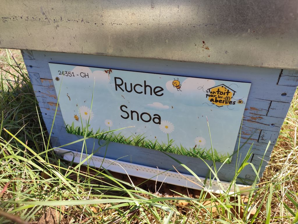 La ruche Snoa