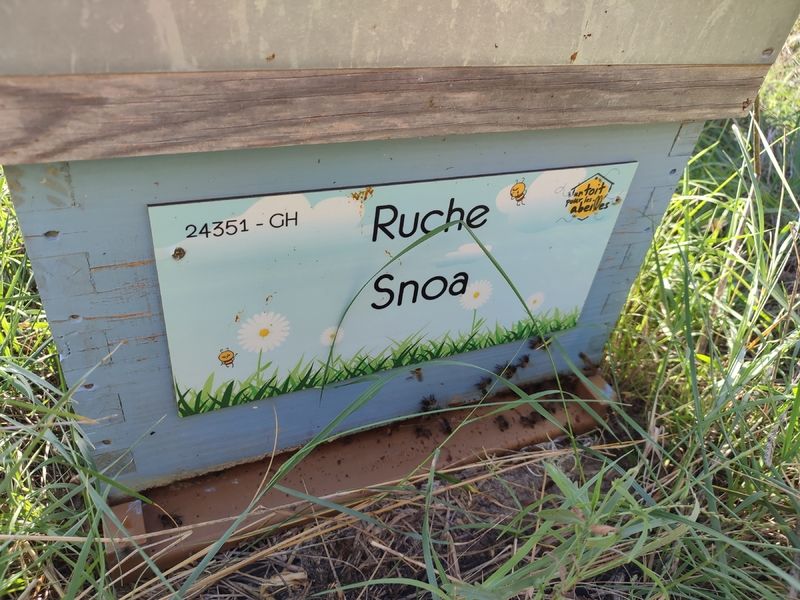 La ruche Snoa