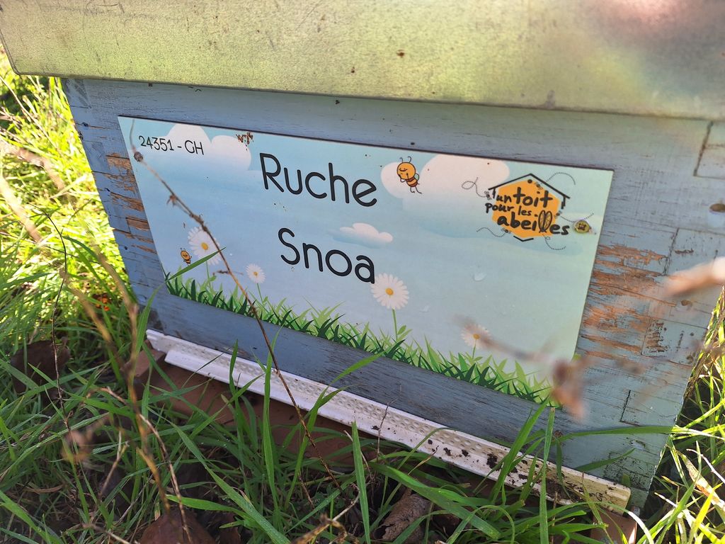 La ruche Snoa
