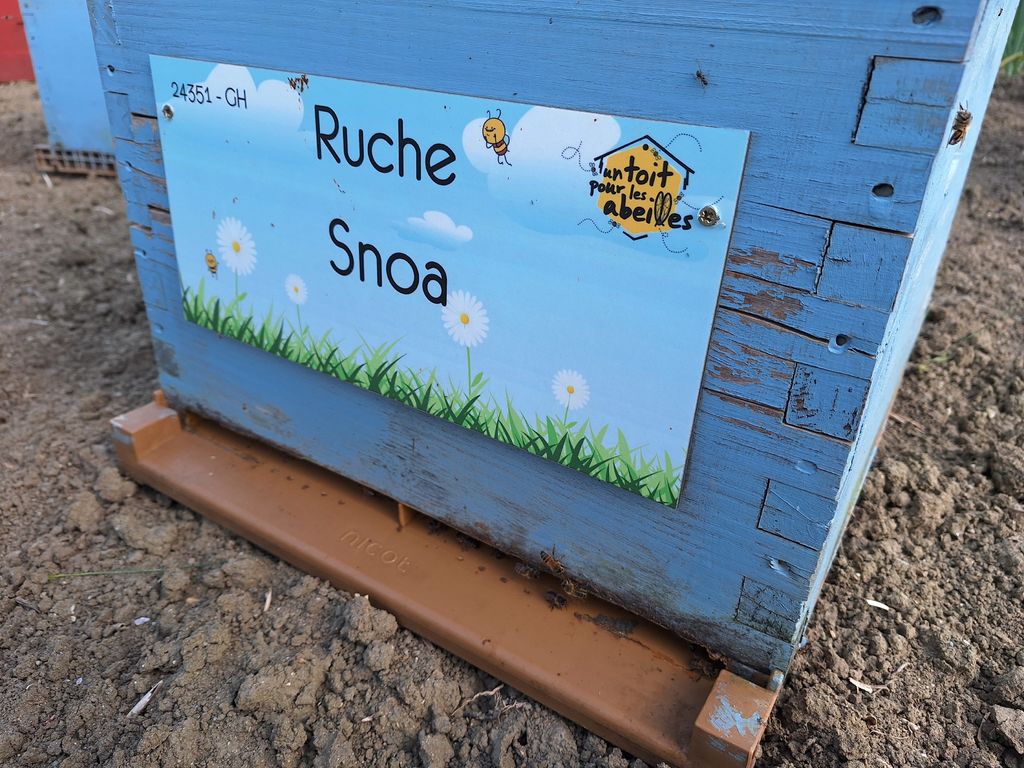 La ruche Snoa
