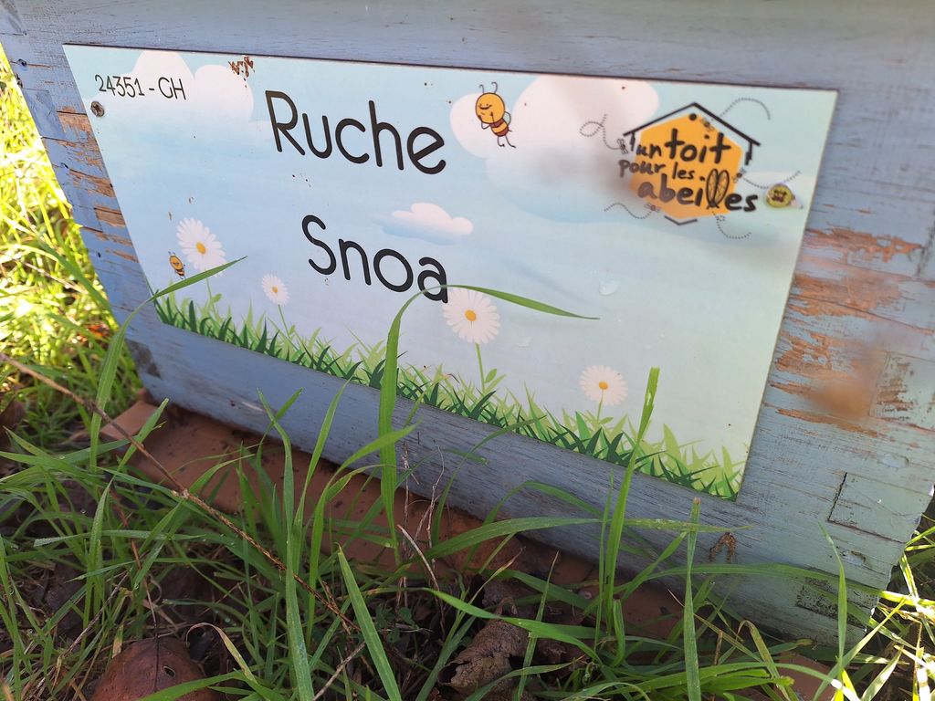La ruche Snoa