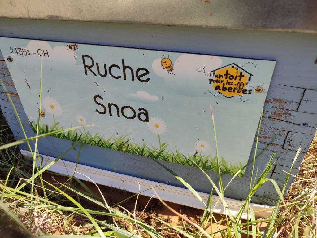 La ruche Snoa