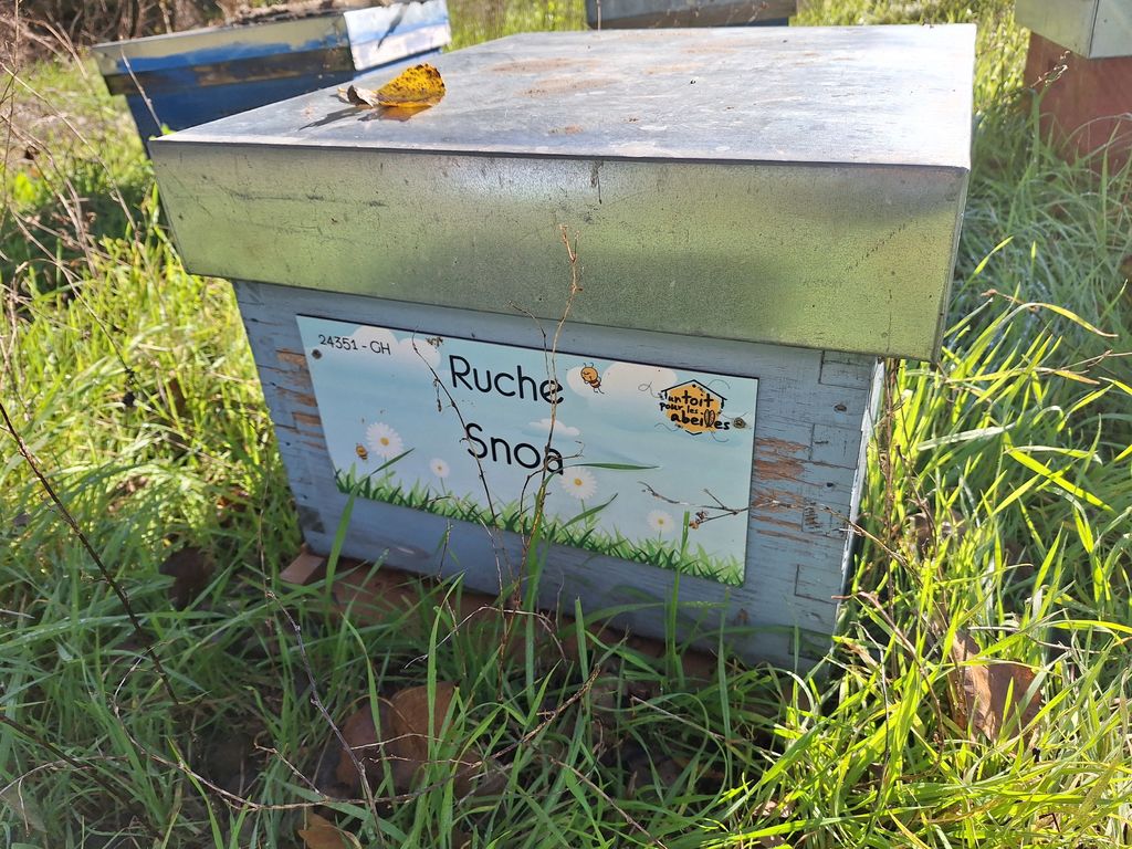 La ruche Snoa