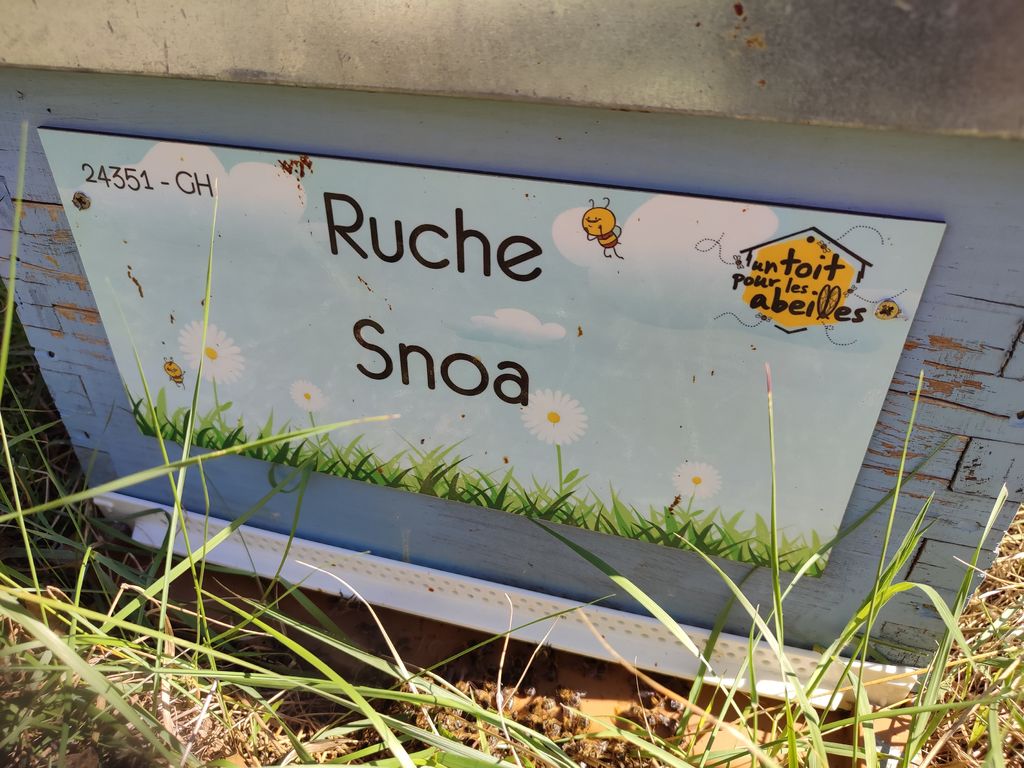 La ruche Snoa