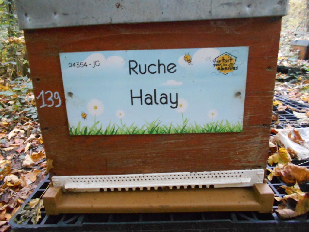 La ruche Halay